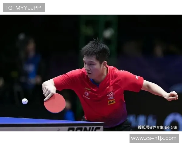 南京乒乓球队在挑战赛中的力量展现与技术分析全面点评 南京乒乓球队在挑战赛中的力量展现与技术分析全面点评