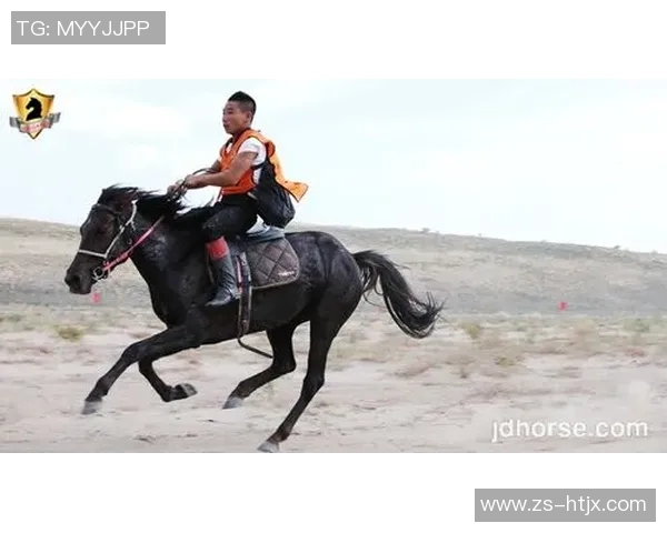 成都足球队耐力变革引发热议展望未来发展新方向