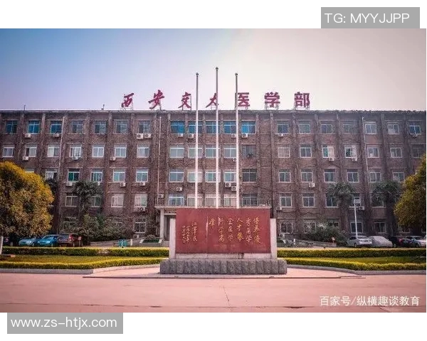 西安篮球队实力解析与发展潜力探讨聚焦篮球运动的未来之路